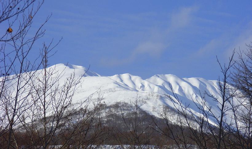 f0118332_2051184.jpg