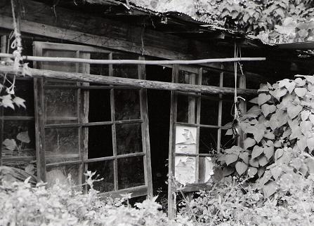 d0079936_02422.jpg