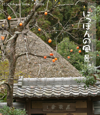 c0046340_22523828.jpg