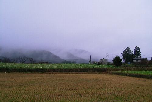 c0072843_17573243.jpg