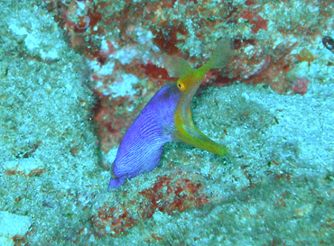 d0065247_20564722.jpg