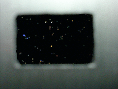 e0005548_1555758.gif
