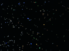 e0005548_23201573.gif