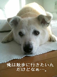 a0090451_14252223.jpg
