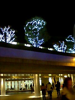 c0098756_1451280.jpg