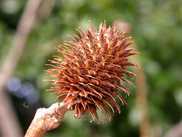 b0104861_20324912.jpg