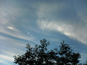 a0063963_1211643.jpg