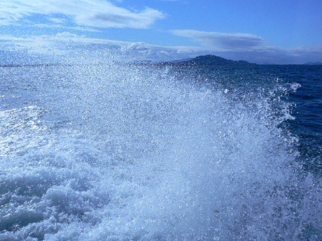 a0063364_0144247.jpg