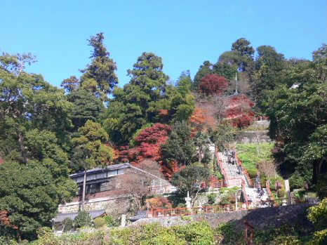 a0063364_019197.jpg