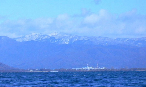 a0063364_051274.jpg