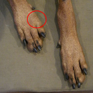 f0025769_18291818.jpg