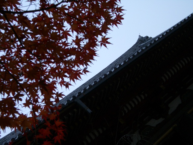 f0089079_0322039.jpg