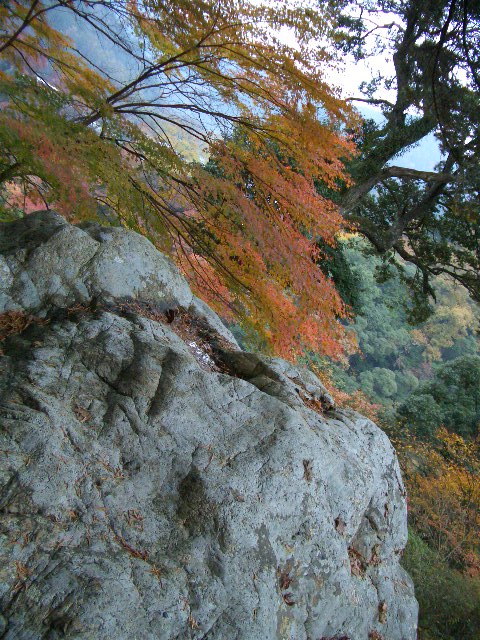 f0089079_0544979.jpg