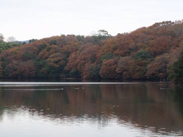 d0082980_21595119.jpg
