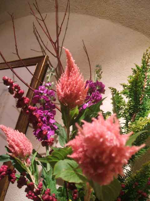 f0070581_974542.jpg