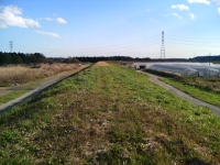 e0105485_1638167.jpg