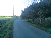 e0105485_1652938.jpg