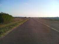 e0105485_1734466.jpg