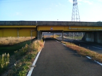 e0105485_1750826.jpg