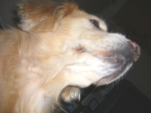 c0085188_22465028.jpg