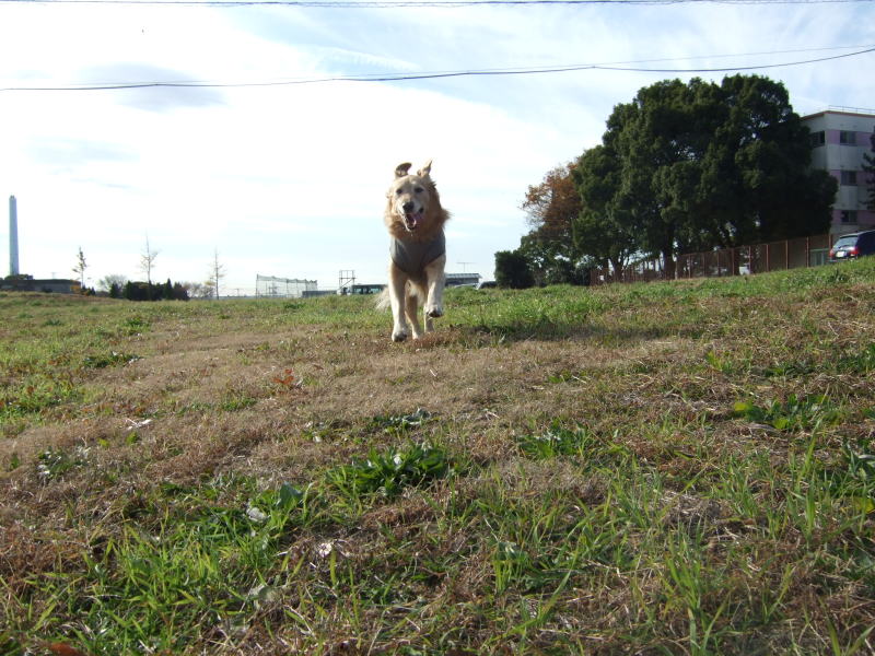 c0104492_2143443.jpg