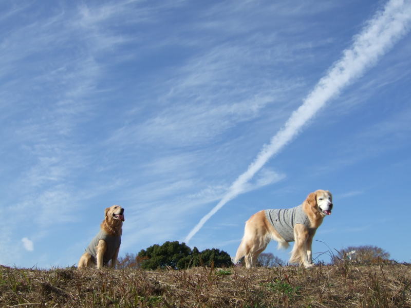 c0104492_21483526.jpg