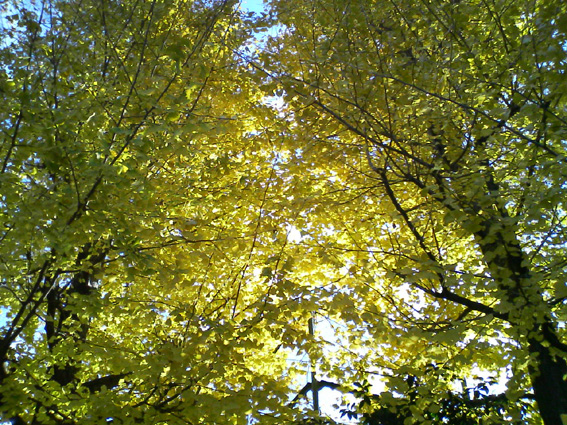 f0108399_0504166.jpg