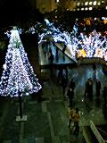 b0046200_12124528.jpg