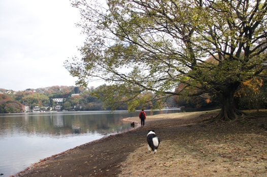 f0034602_21372360.jpg