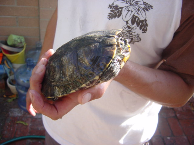 c0048504_7295847.jpg