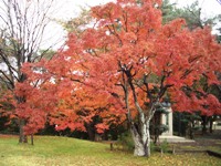 d0018704_21585638.jpg