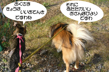 a0041108_21201519.gif