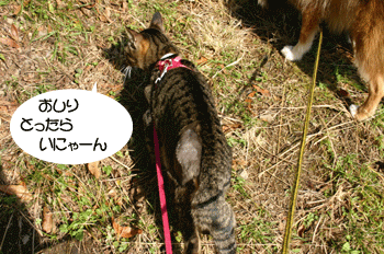 a0041108_21411936.gif