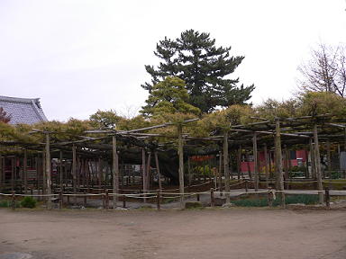 c0101913_21393245.jpg