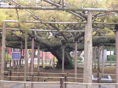 c0101913_214029100.jpg