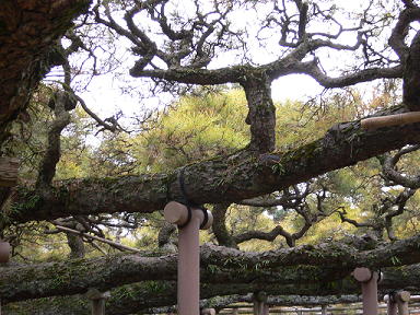 c0101913_21405619.jpg