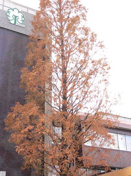 c0101913_2144407.jpg