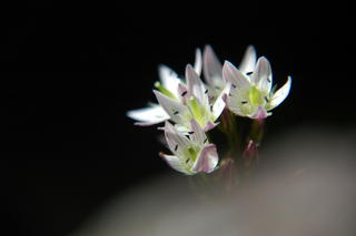 c0104227_10322266.jpg