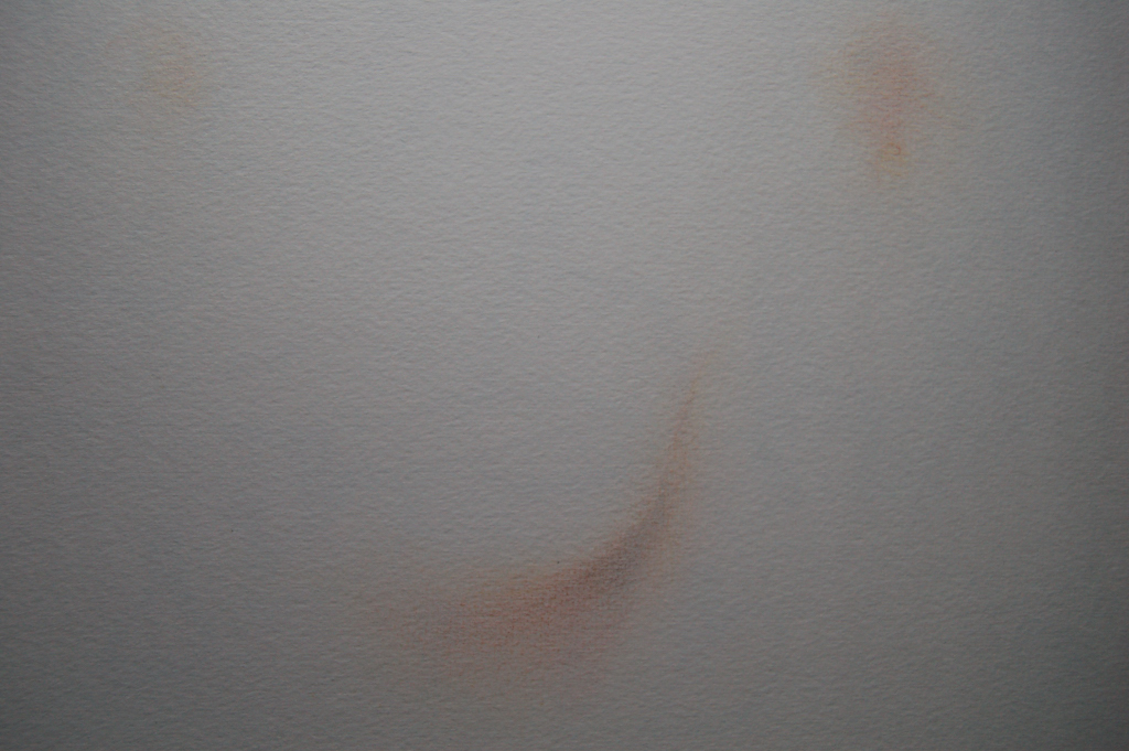 e0107030_0364113.jpg