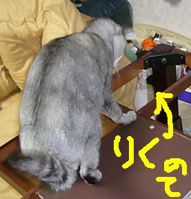 f0002743_14382327.jpg