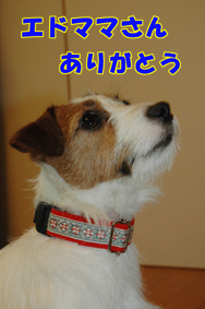 f0035044_11405050.jpg