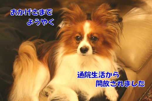 d0013149_039187.jpg