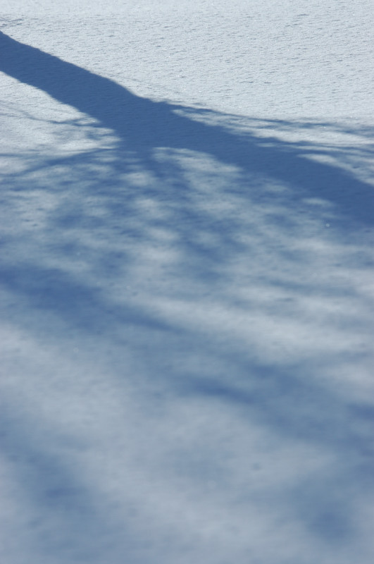 c0084666_18472171.jpg