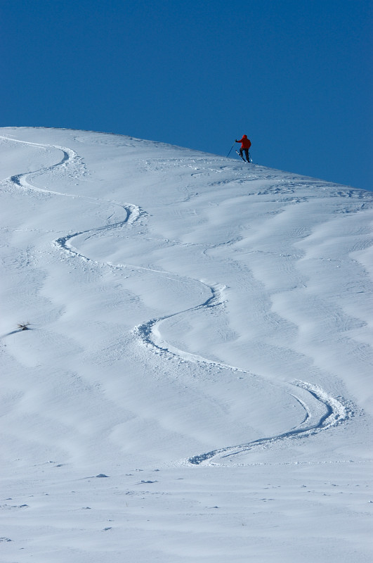 c0084666_1847547.jpg