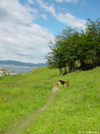 f0050468_1252973.jpg