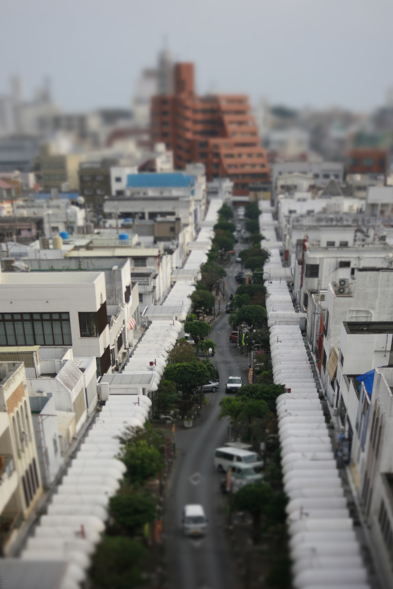 c0030897_35921.jpg