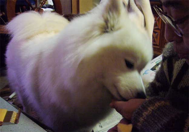 e0018604_15225142.jpg