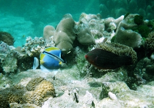 f0001305_0112494.jpg