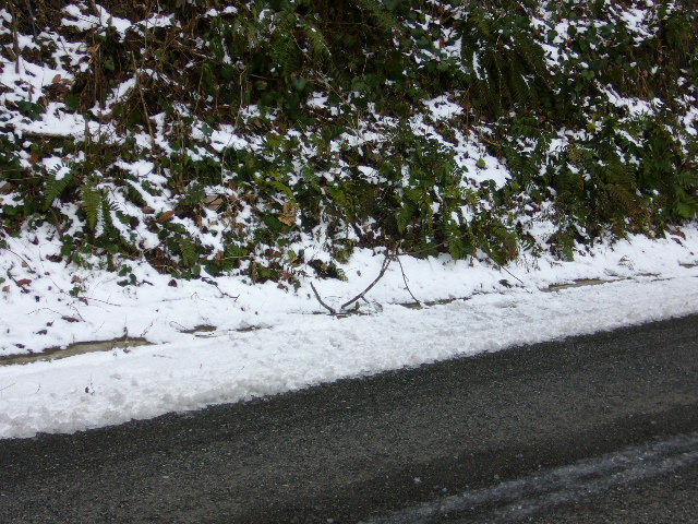 f0061705_220054.jpg