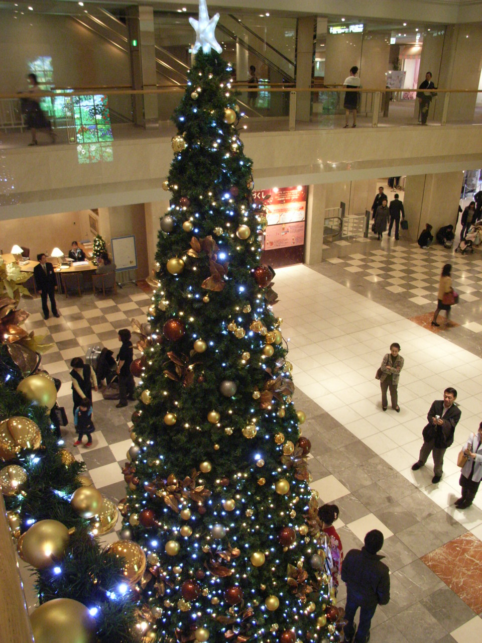 a0079207_1558232.jpg